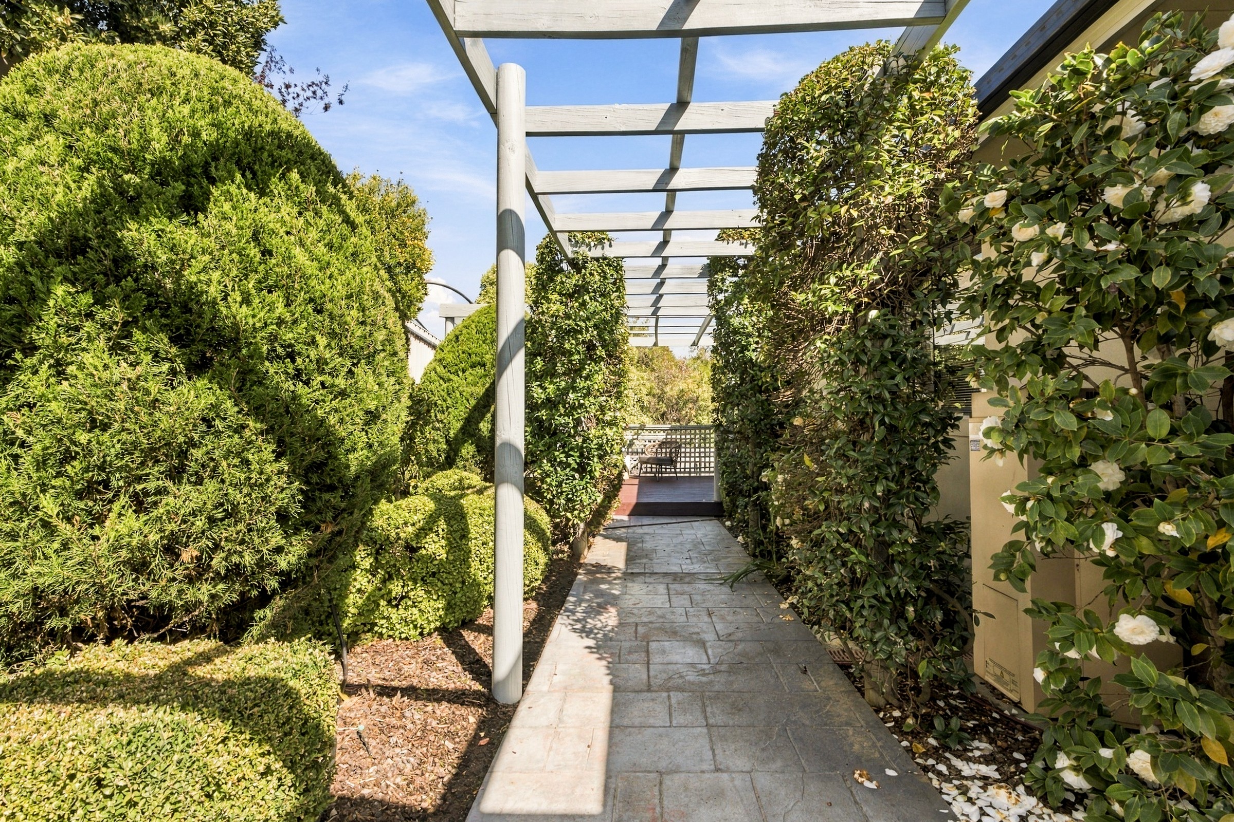 Established garden walkway