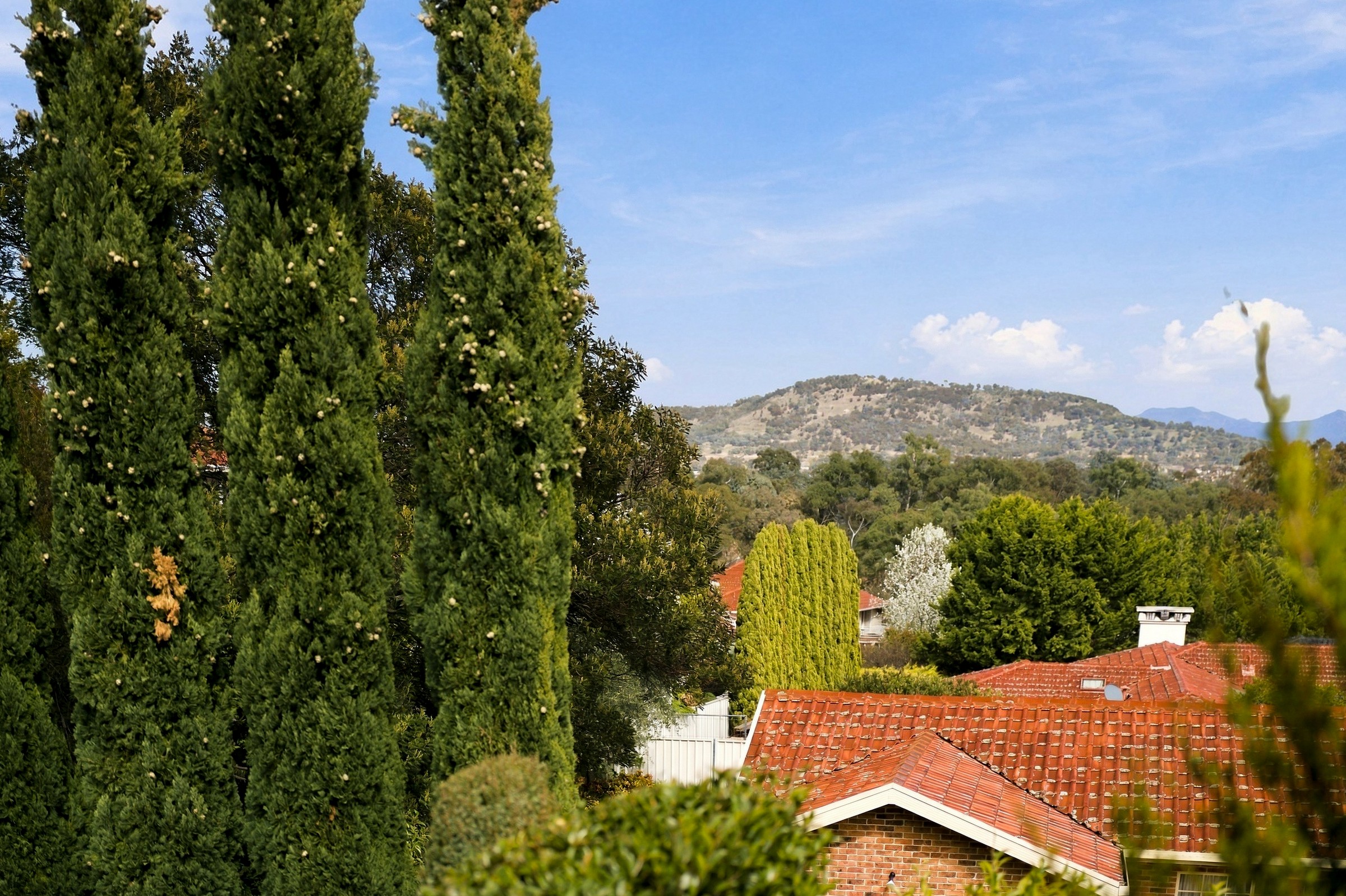 Mountain outlook